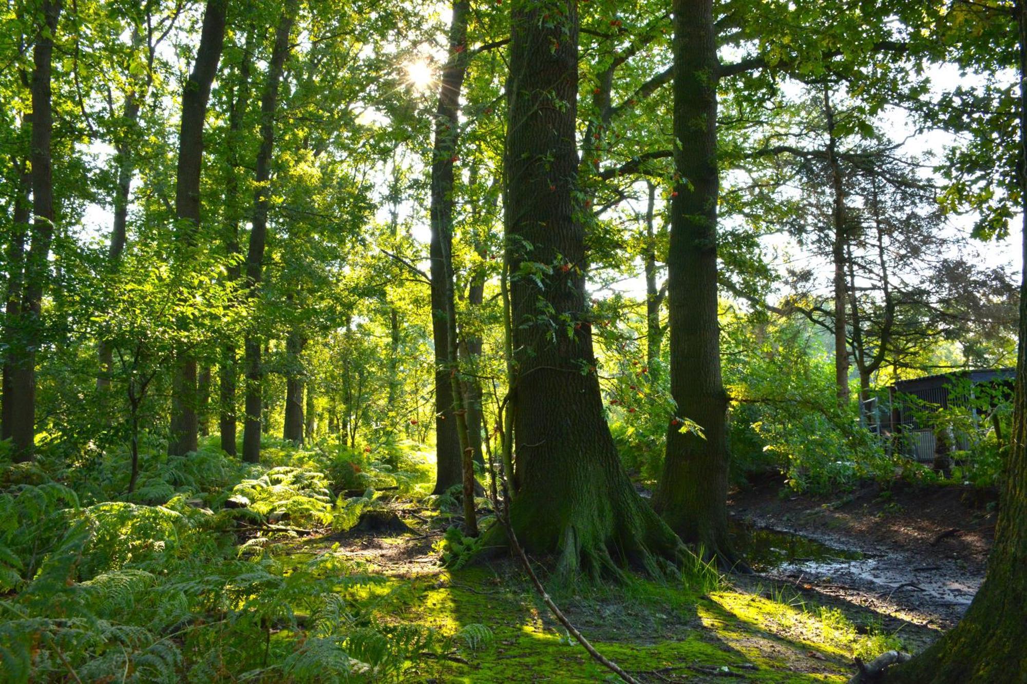 Puur Putten, Met Prive Sauna *